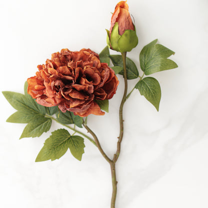 20" Legacy Bloom, Rust
