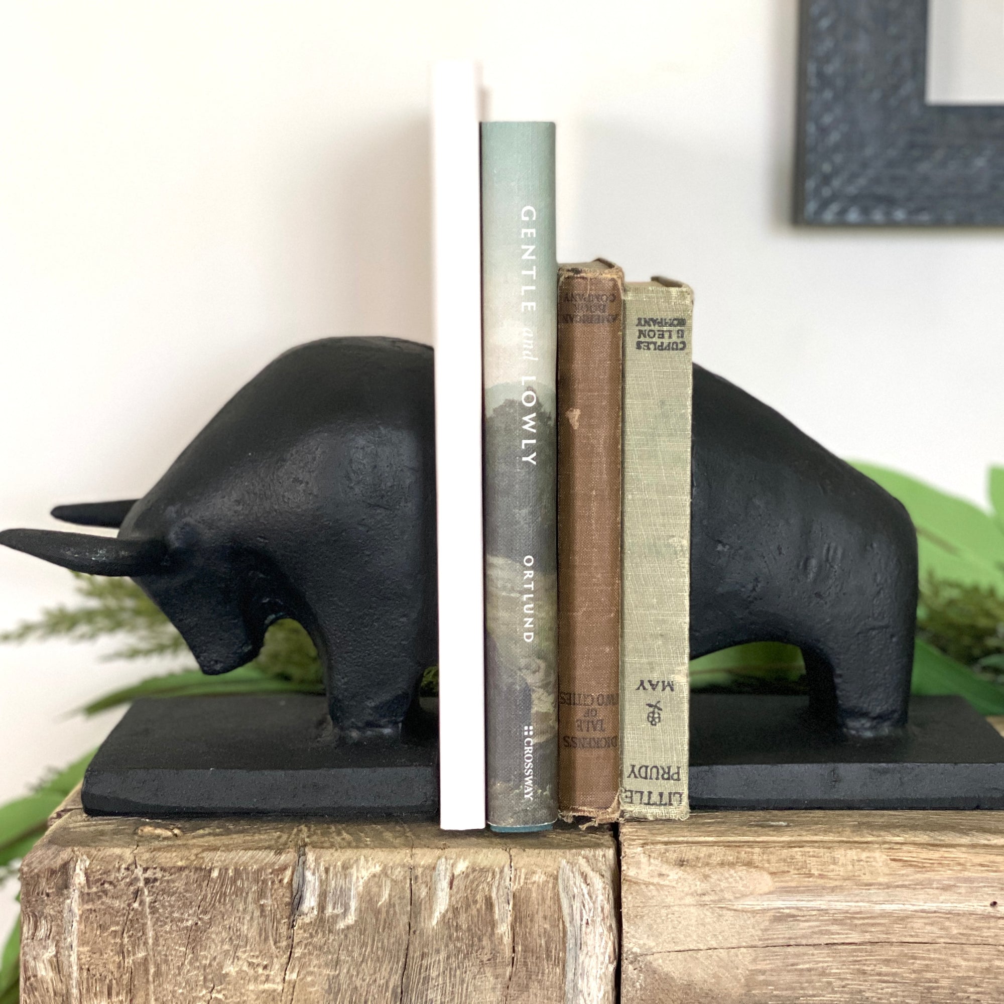 Raging Bull Bookends