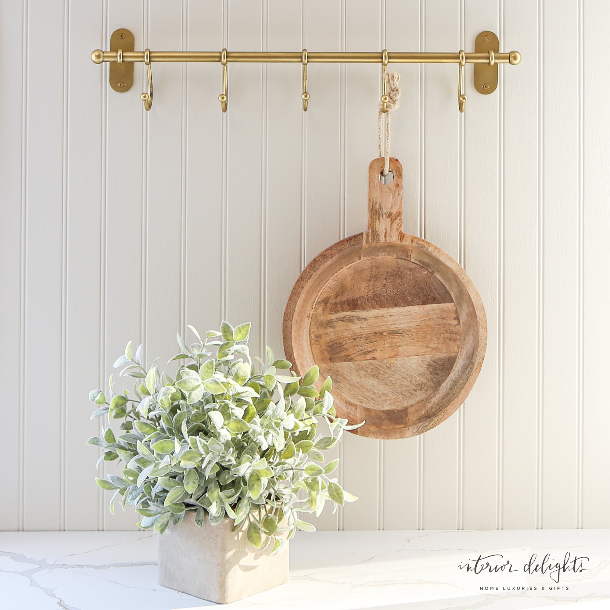 Sage in Cement Pot - Interior Delights