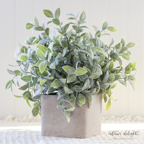 Sage in Cement Pot - A beautiful faux plant with soft green leaves in a rustic cement pot, adding charm to any space.