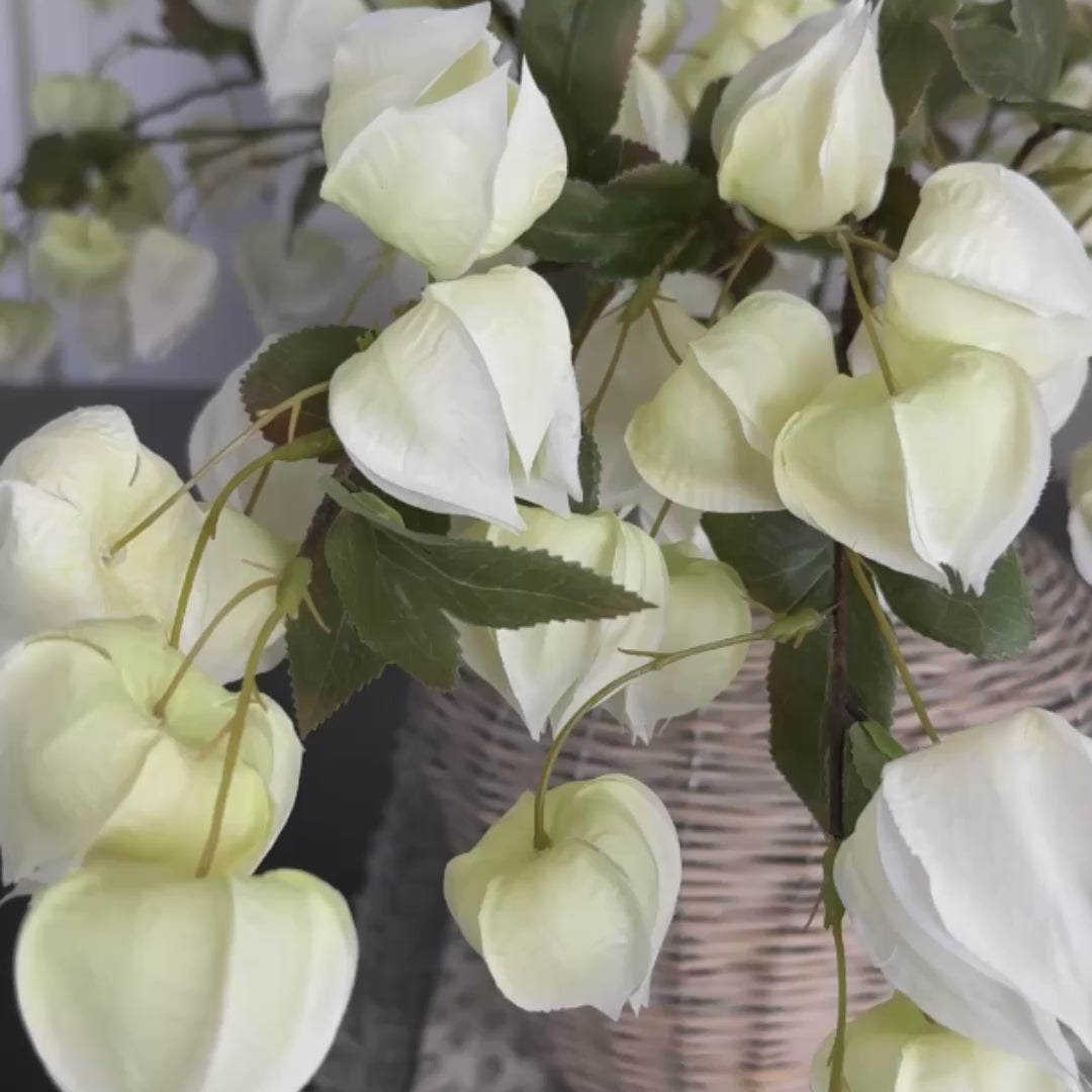 Lantern Bud Spray- Cream 38in