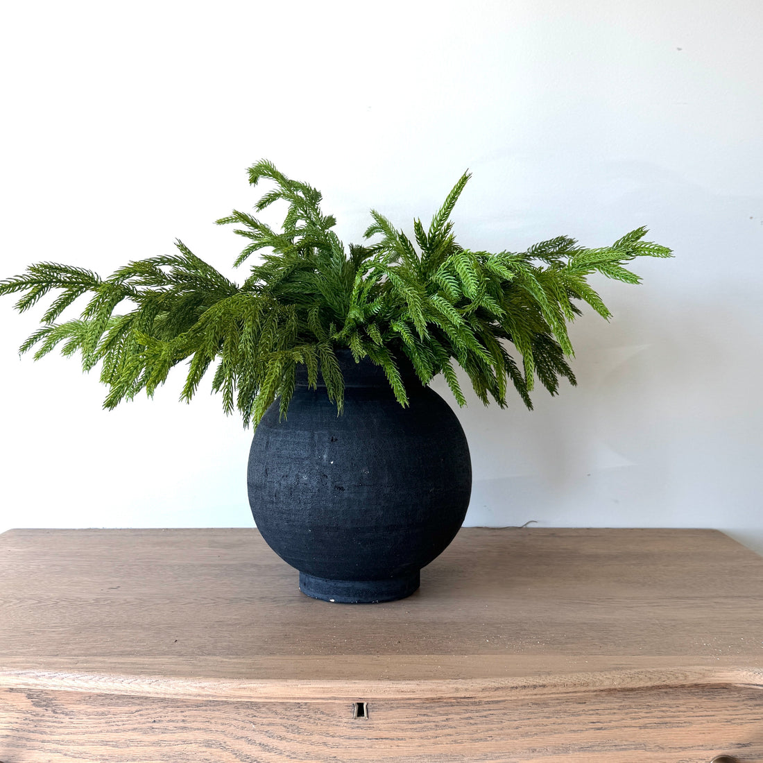Black Paul Vase and Norfolk Pine Arrangement