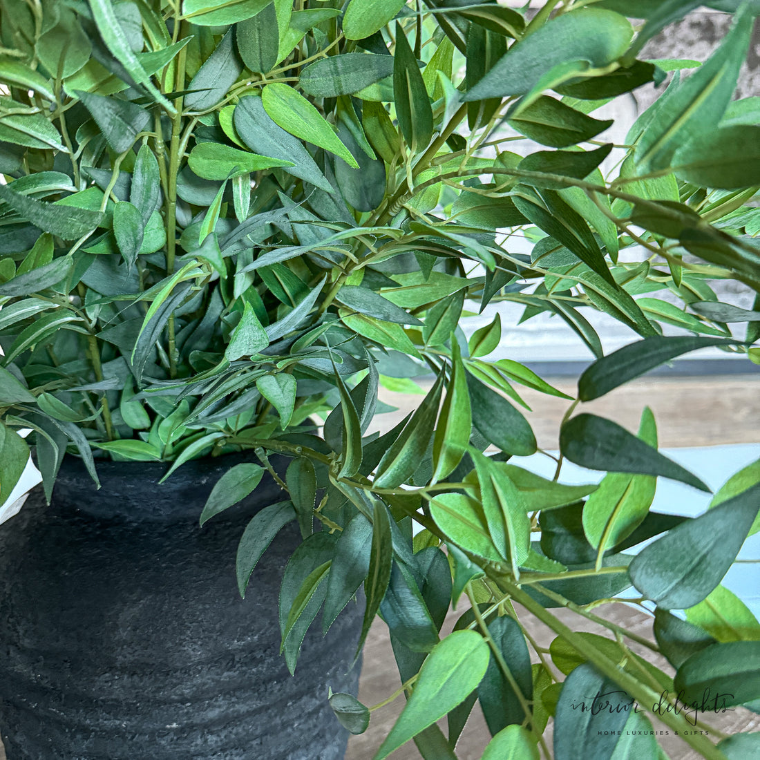 Italian Ruscus Spray