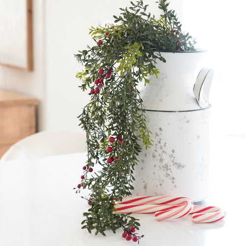 32" Draping Boxwood with Berries - Interior Delights