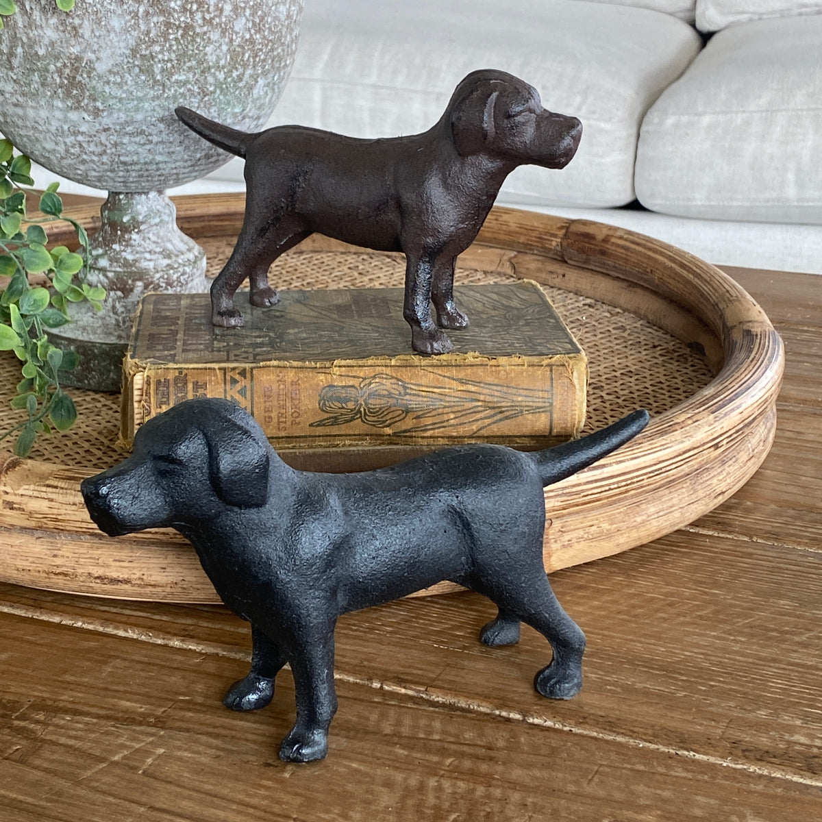 Cast Iron Labs- 2 Colors