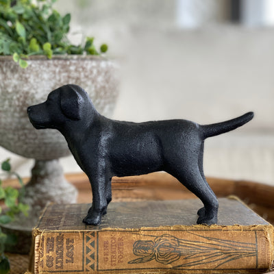 Cast Iron Labs- 2 Colors