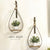 Set of 2 Teardrops + 2 Potted Boxwood