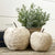Paper Mache Apple, 2 sizes