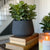 Black Potted Succulent-Large - Interior Delights