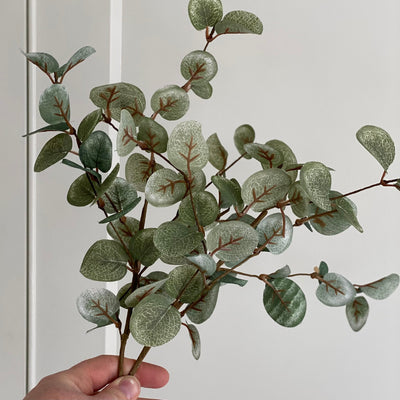 Little Eucalyptus Pick Bundle of 2